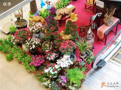 -双季花艺园艺市场(浦东店)
