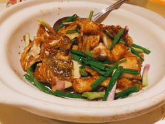 古法姜葱焗多宝鱼-惠食佳(滨江大公馆店)