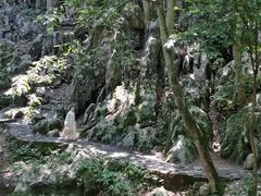 -灵隐飞来峰景区