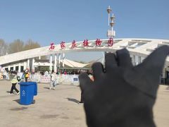 -石家庄市植物园