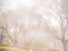 -山湖温泉