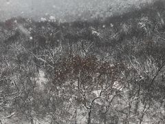 -紫金山索道-售票处
