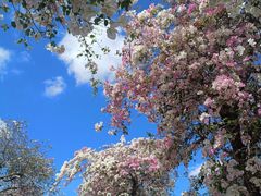 -海南热带雨林国家公园吊罗山景区