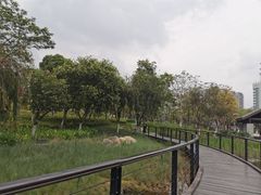 -映月湖公园