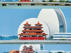 -野狸岛