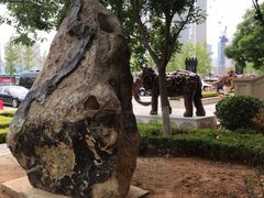 -东港音乐喷泉广场