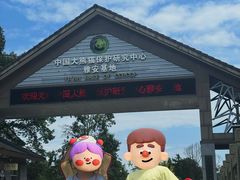 -中国大熊猫保护研究中心雅安碧峰峡基地