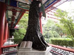 -大明幻境第一城