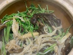 -十二舍·湯物素煮(江泰潤政店)
