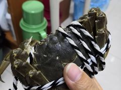 -七的湖·晚芳亭·阳澄湖农家菜·大闸蟹(莲花岛店)