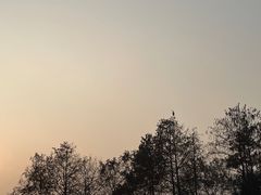 -上海野生动物园