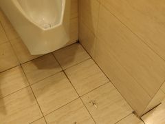 -北京英嘉国际影城(金源CINITY店)