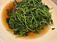 -佬肥猫(七宝宝龙店)