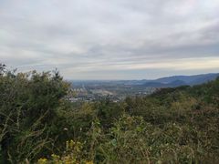 -阳台山自然风景区