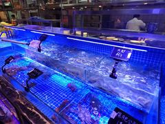水产区-渔民船说·北塘海鲜·天津菜·海肠捞饭(北塘古镇店)
