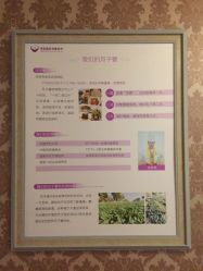 -大美母婴月子中心