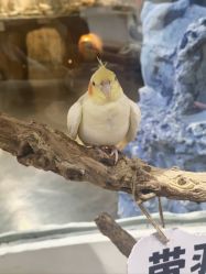 -Zoolung Zoolung动物主题公园(海信广场店)