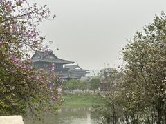 -海珠湖公园