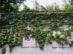 -日出青木·杭帮菜名店