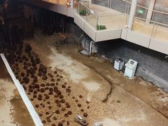-元代水闸遗址博物馆