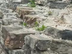 -东水关遗址公园