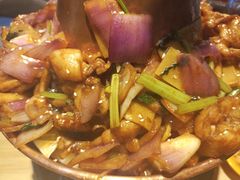 -蛙麻蛙辣炭火蛙锅(南环大街店)