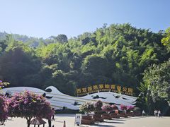 -西双版纳原始森林公园