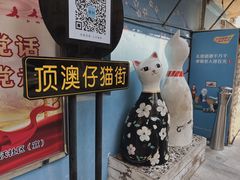 -猫咪博物馆(顶澳仔猫街店)