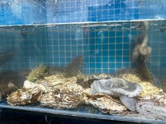 -宾朋海鲜饭庄(兴海路店)