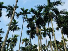 -红色娘子军纪念园