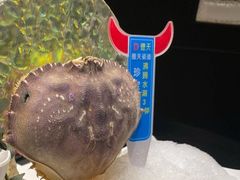 -德天肥牛海鲜火锅(城西银泰店)