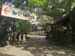 -奈良公园