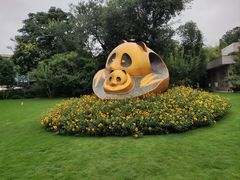 -成都大熊猫繁育研究基地