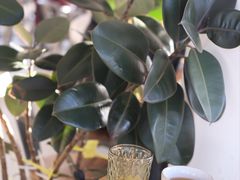 -ChanDu躔度咖啡(灯塔店)