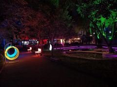-枫花园汽车电影院(朝阳公园店)