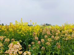 -中国天府农业博览园