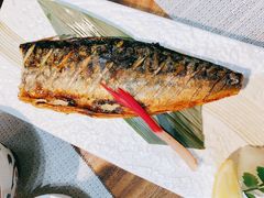 -森味薪火烧•烧鸟居酒屋•日本料理(望京店)