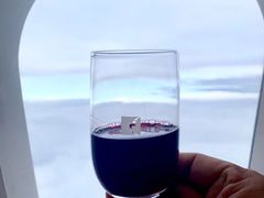 -上海浦东国际机场-T2航站楼