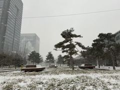 -清华东路西口(地铁站)
