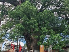 -新安江山水画廊风景区