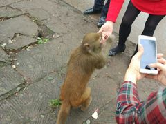 -重庆雨台山风景区