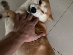 -美联众合24小时·皮肤科·外科·全科诊疗中心(华苑分院)
