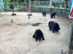 -西安秦岭野生动物园