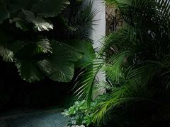 -漫笙舍Manse·咖啡·民宿