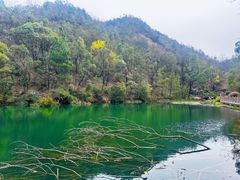 -岳麓山风景名胜区