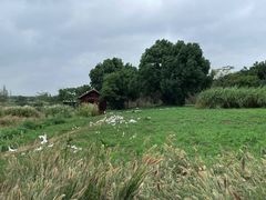-良渚古城遗址公园