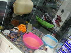 -FAELING PETS美天灵宠物(富力广场店)