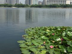 -尚贤河湿地