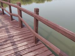-西青郊野公园