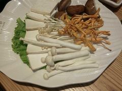 -掂档潮汕牛肉火锅(沈阳万象城店)